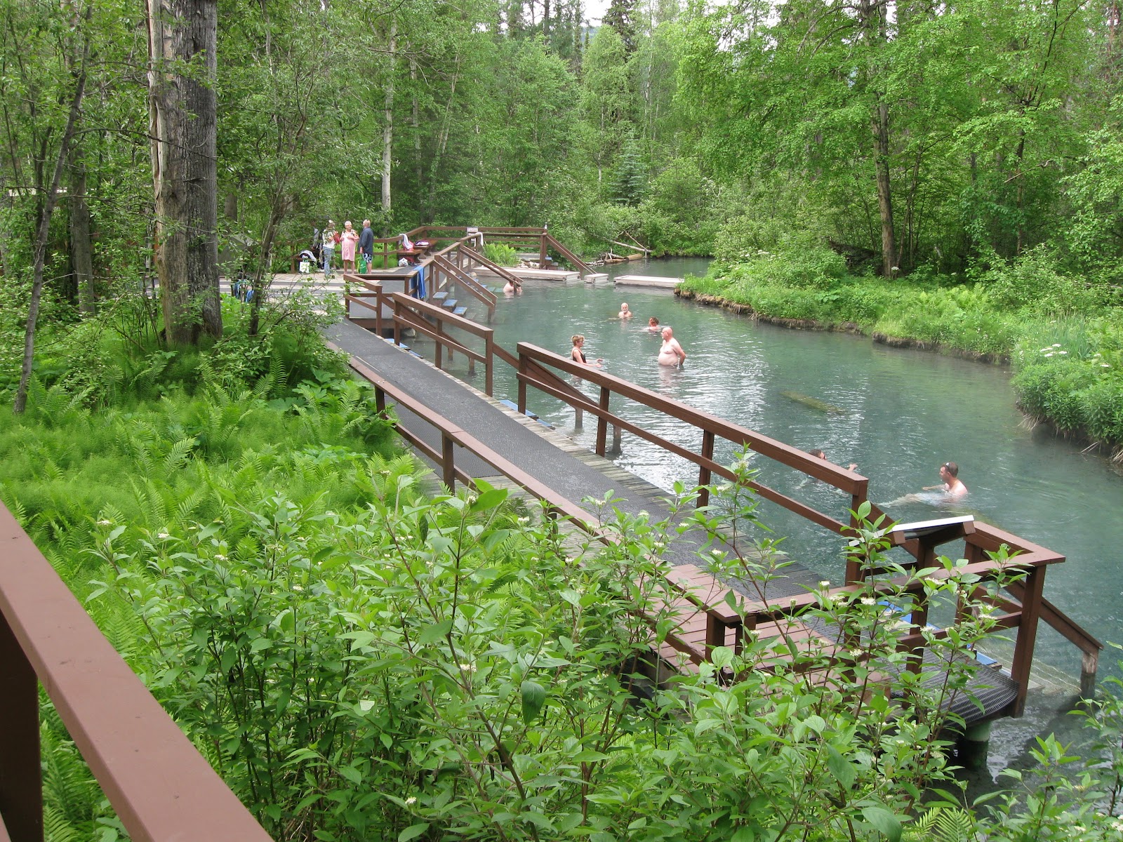 Ardmachree Travels: Laird River Hot Springs. Km765