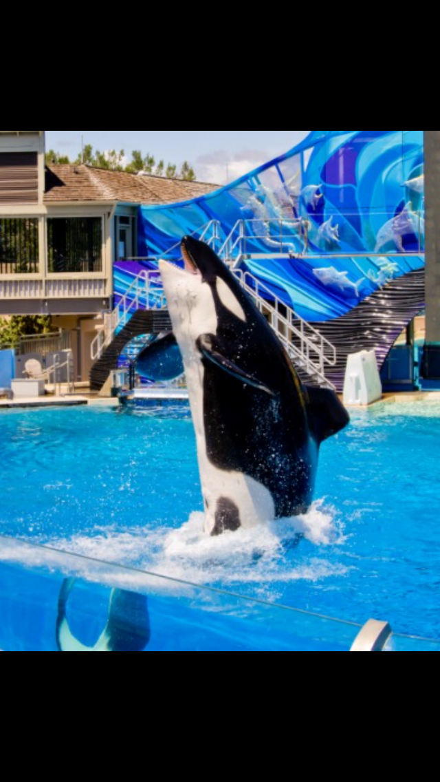 SeaWorld Abu Dhabi to be Indoor Climate Controlled. - AmusementInsider