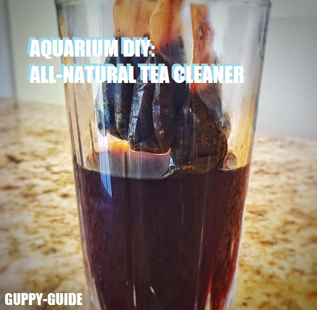 GuppyGuide AllNatural Aquarium Glass Cleaner DIY