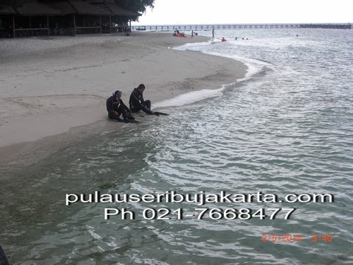 Hasil survey lokasi pantai di pulau Sepa sangat bagus