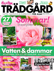 Reportage från min trädgård i Hus & Hem Trädgård med mina egna foton och egen text Juli 2012