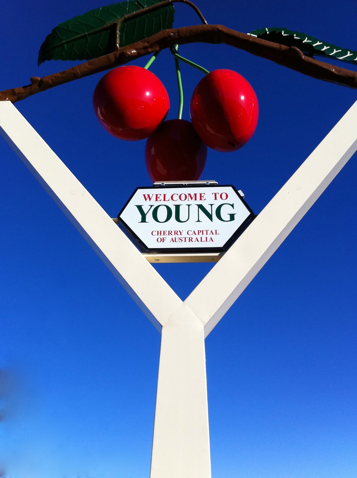 One Hungry Hen Destination YOUNG, NSW