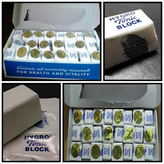 Burung2u Oktober 2012