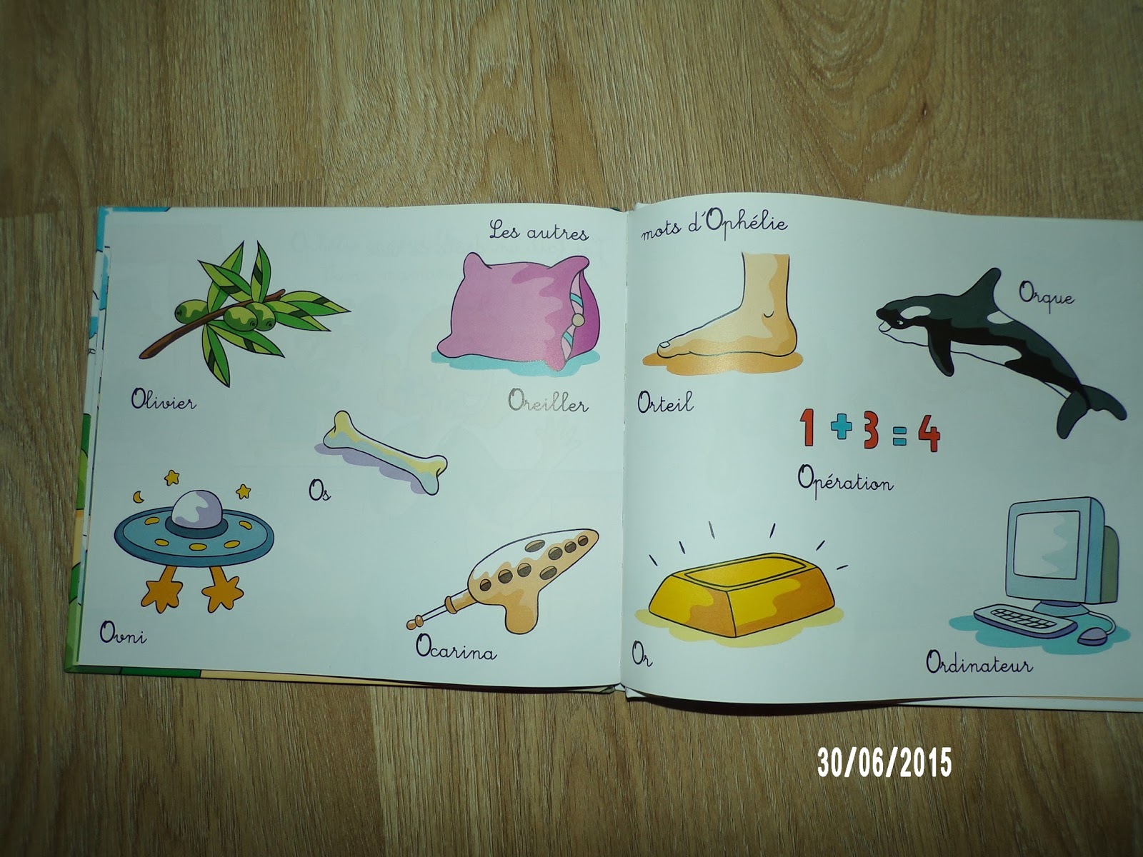 la tribu de mary: mes premiers pas vers la lecture Hachette collections