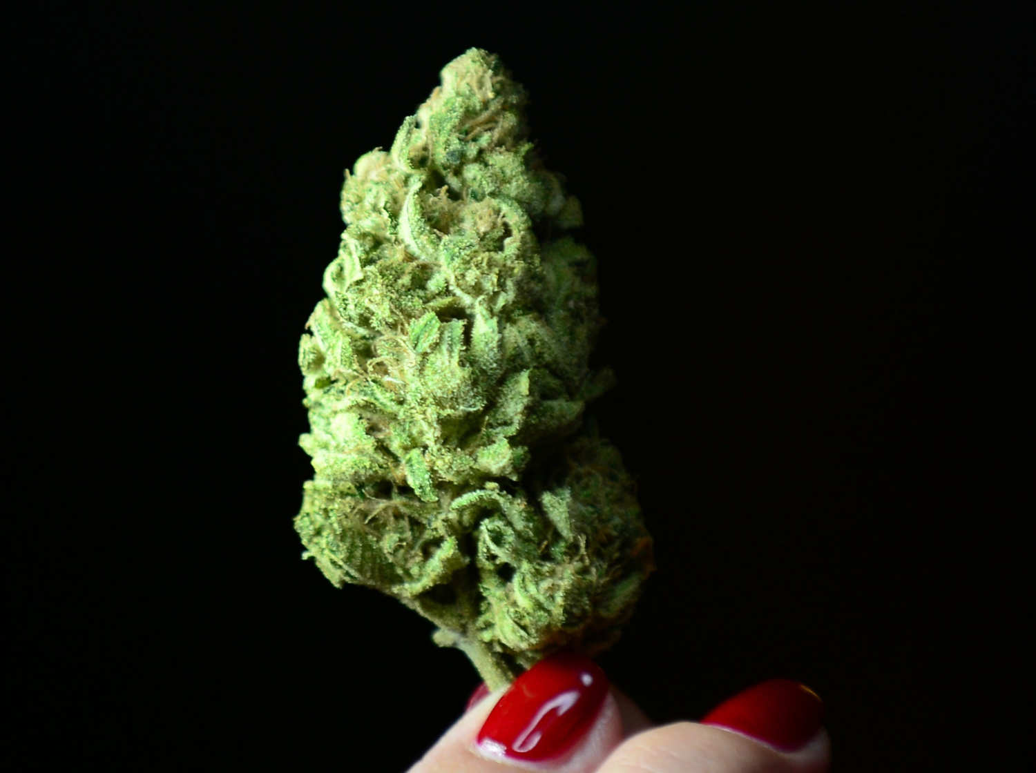 BEST 420 SMOKE OG Mango