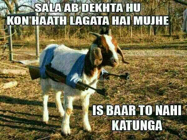 Bakra Eid -ul-Adha Zuha sms message wishes in english Urdu Hindi with images pictures Greetings Card Bakra Eid -ul-Adha Zuha sms message wishes in english Urdu Hindi with images pictures Greetings Card