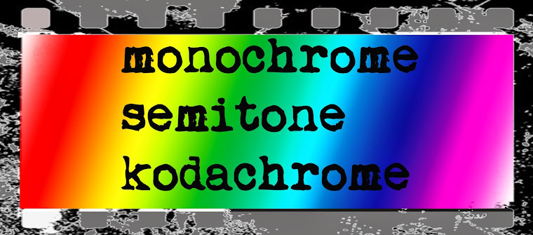 monochrome semitone kodachrome
