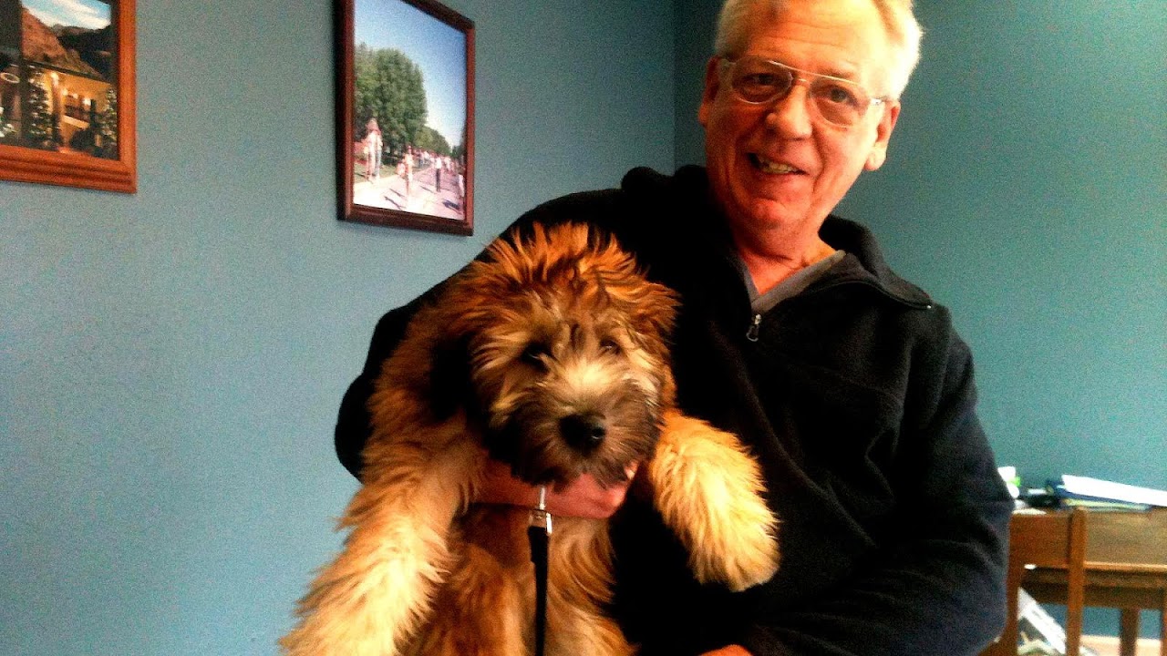 Dog Grooming Norman Ok - Dog Choices Dog Grooming Norman Ok - Dog Choices