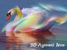 Смотреть 13 февраля 6 лунный день: избавься от ненужных вещей видео Смотреть 13 февраля 6 лунный день: избавься от ненужных вещей видео