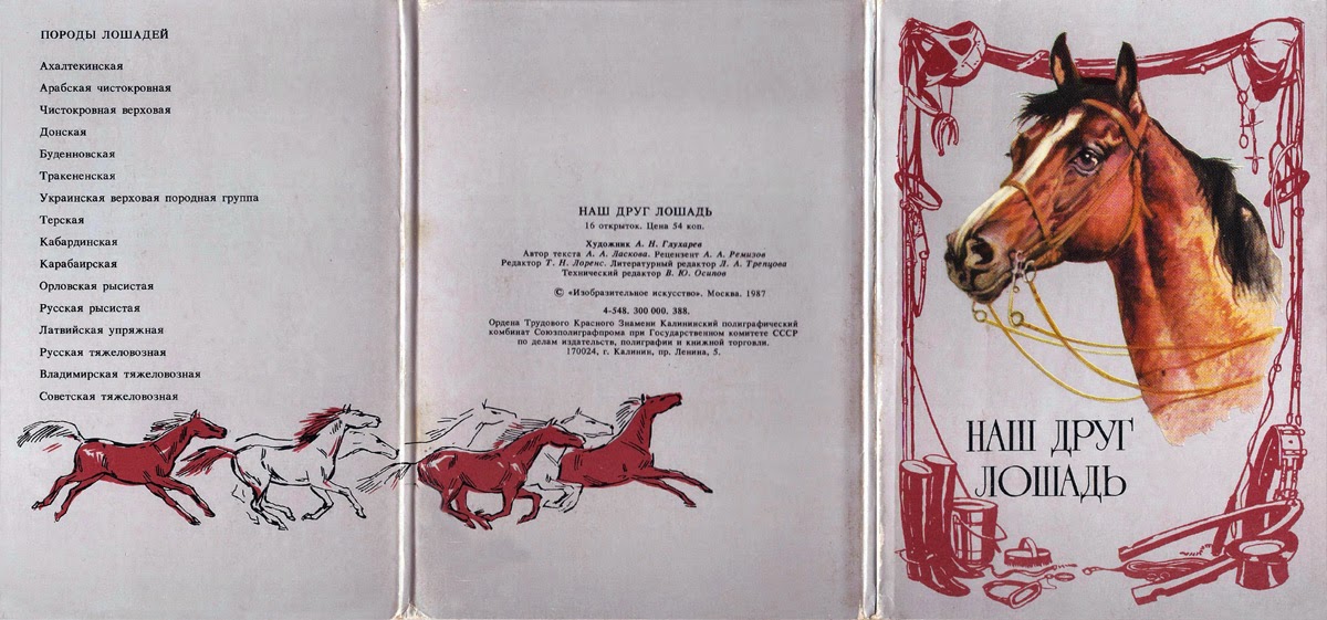 Друзья лошадки. Книги про лошадей Художественные. Лошадь друг. Самый красивый конь книга иллюстрации. Детские книги про лошадей.