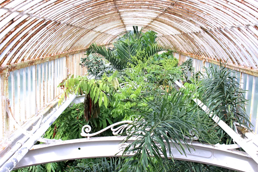 Palm house glasshouse at Kew Gardens in Spring - London lifestyle blog