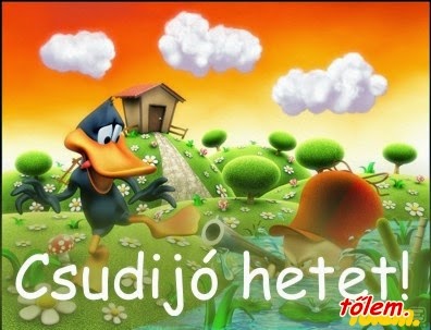 Kép