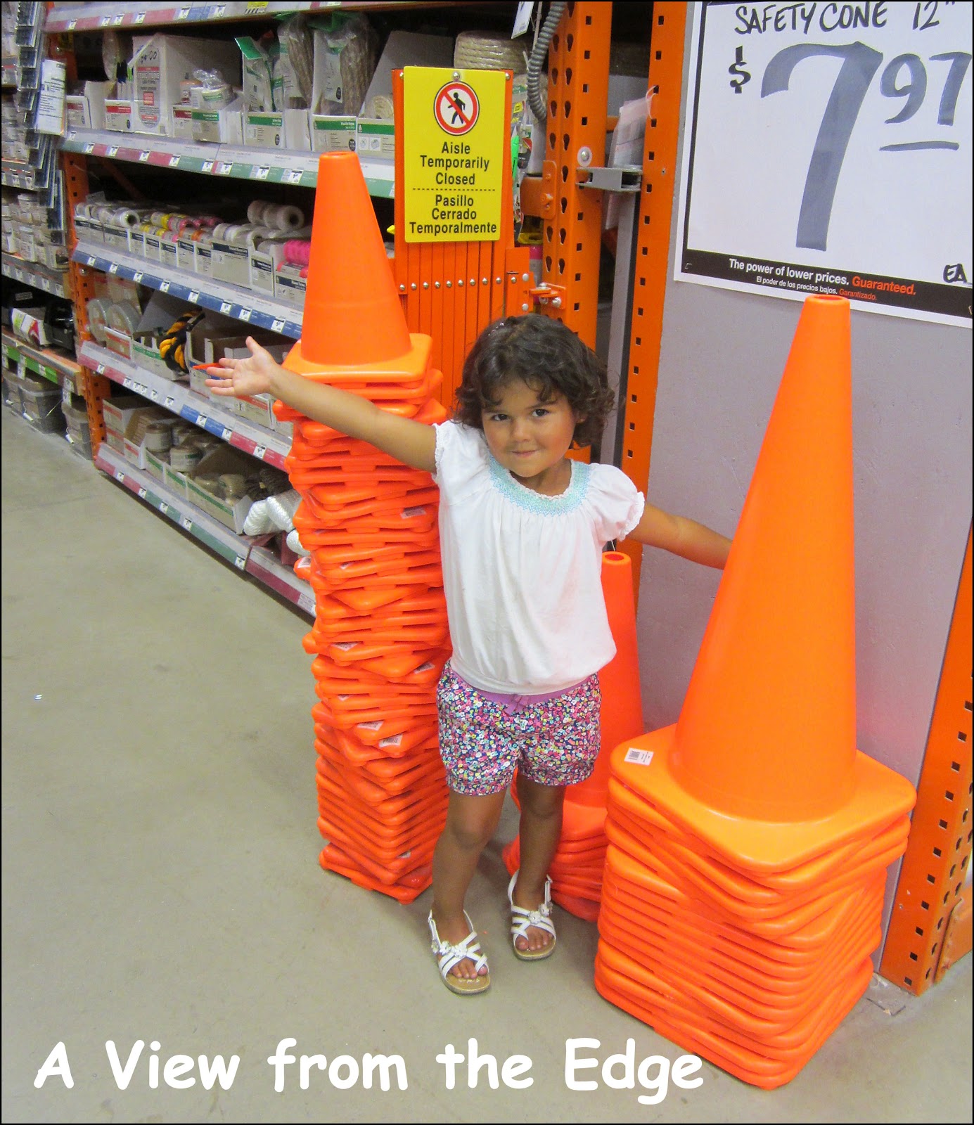 A View from the Edge Thursday's Things in a Row Home Depot Part One