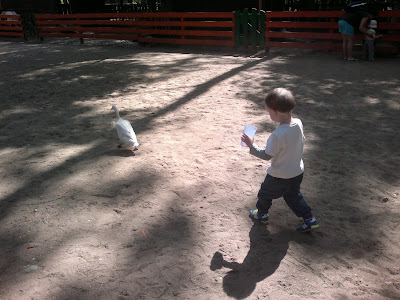 08062013923.jpg