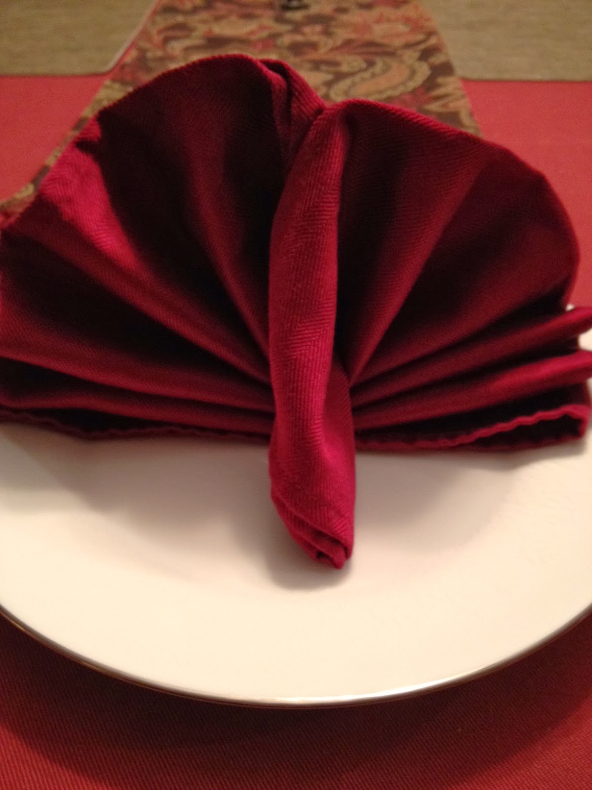 Twins in the Cities Turkey Napkin Fold