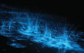 http://3.bp.blogspot.com/-GT36sB5Q4JE/TsWx5SpiKlI/AAAAAAAABi0/04h8wxZ7260/s1600/momh0xqf.jpg