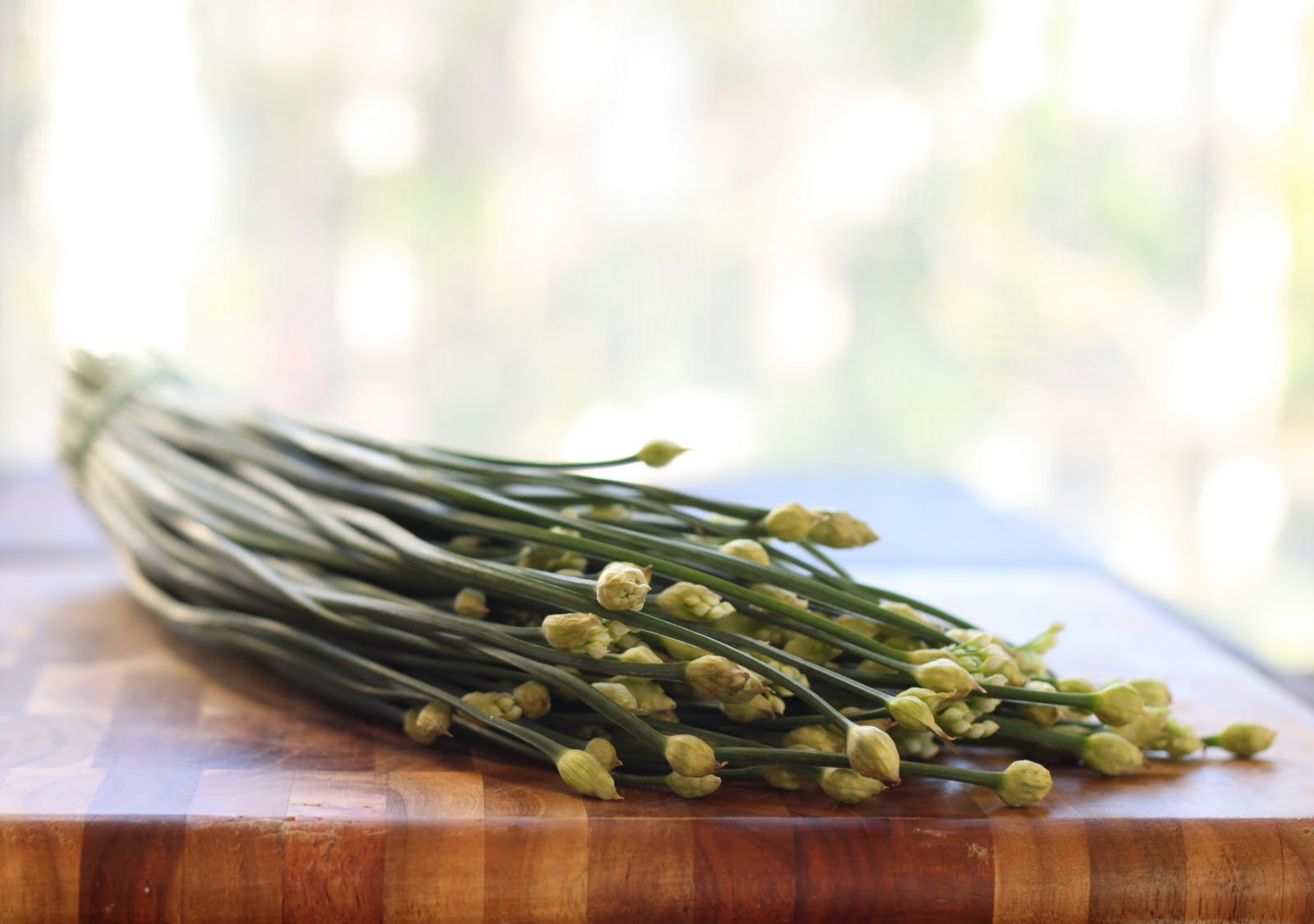 The Cilantropist Pasta with Scallops, Beurre Blanc, and Chive Buds