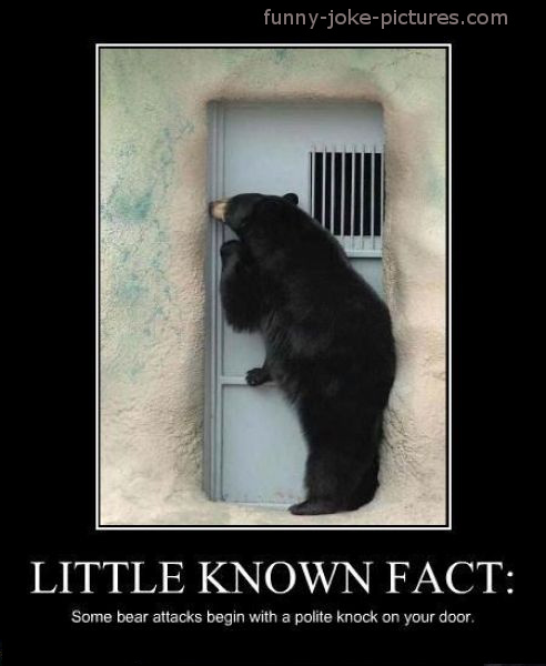 Polite Bear Little Known Fact ~ Funny Joke Pictures