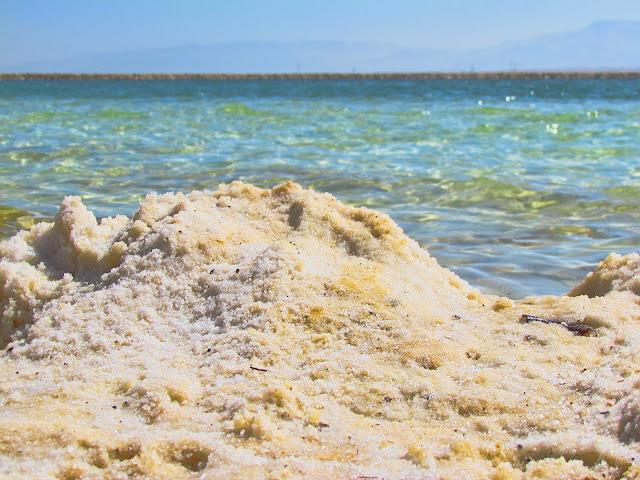 Соляные причуды Мёртвого моря