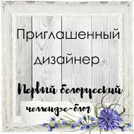 Я приглашенный дизайнер "Первого белорусского!!