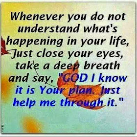  Whenever you do not understand what's happening in  your life, just close your eyes, take a deep breath and say, "God i know it is your plan. Just help me through it."