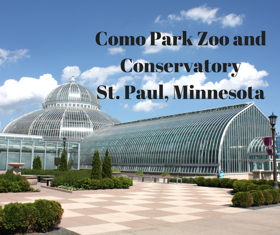 A Little Time and a Keyboard Como Park Zoo and Conservatory in St