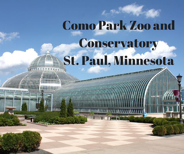 A Little Time and a Keyboard Como Park Zoo and Conservatory in St