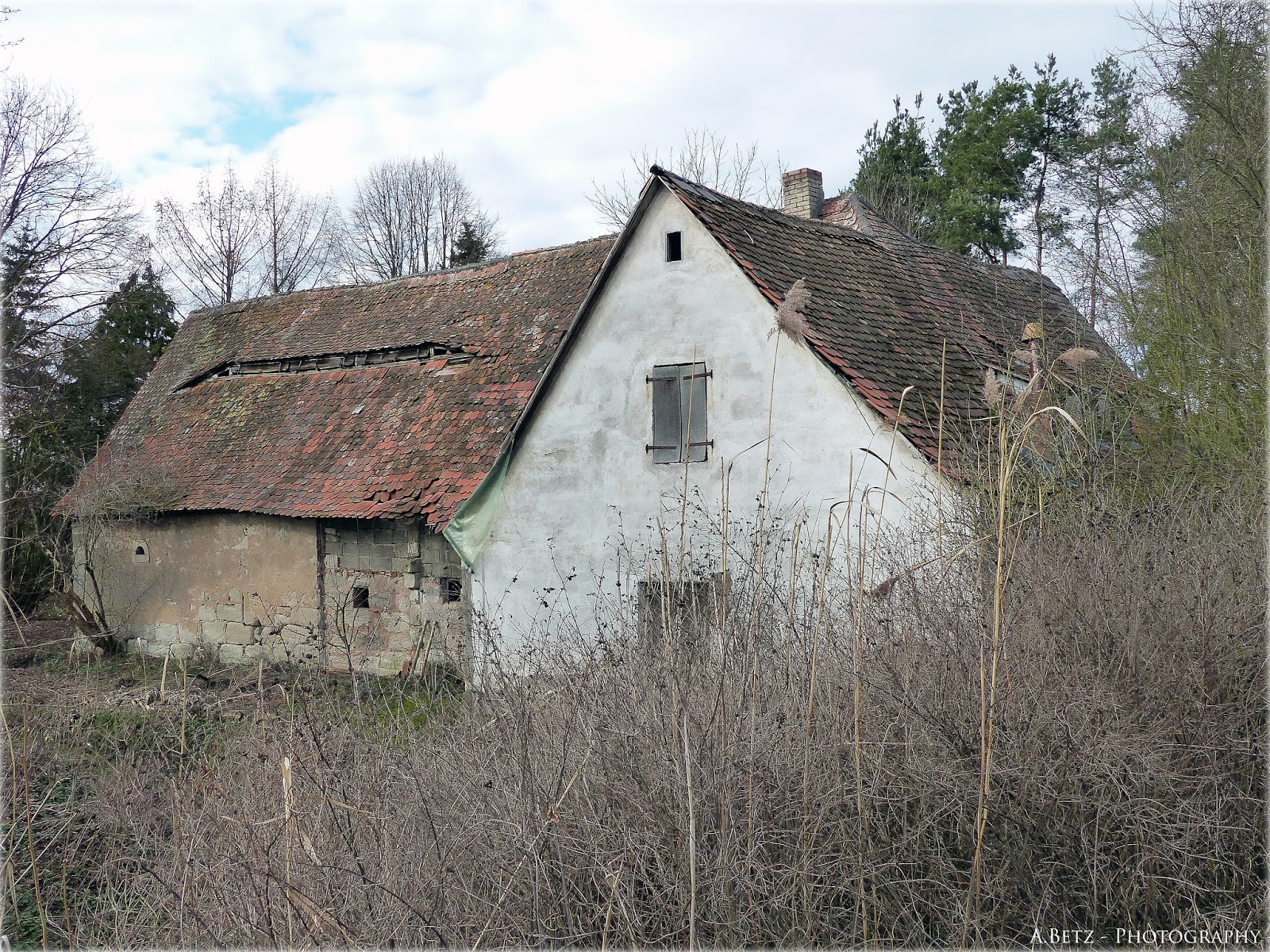 Augenblicke Fotografie Rund um Schloss Neuhaus
