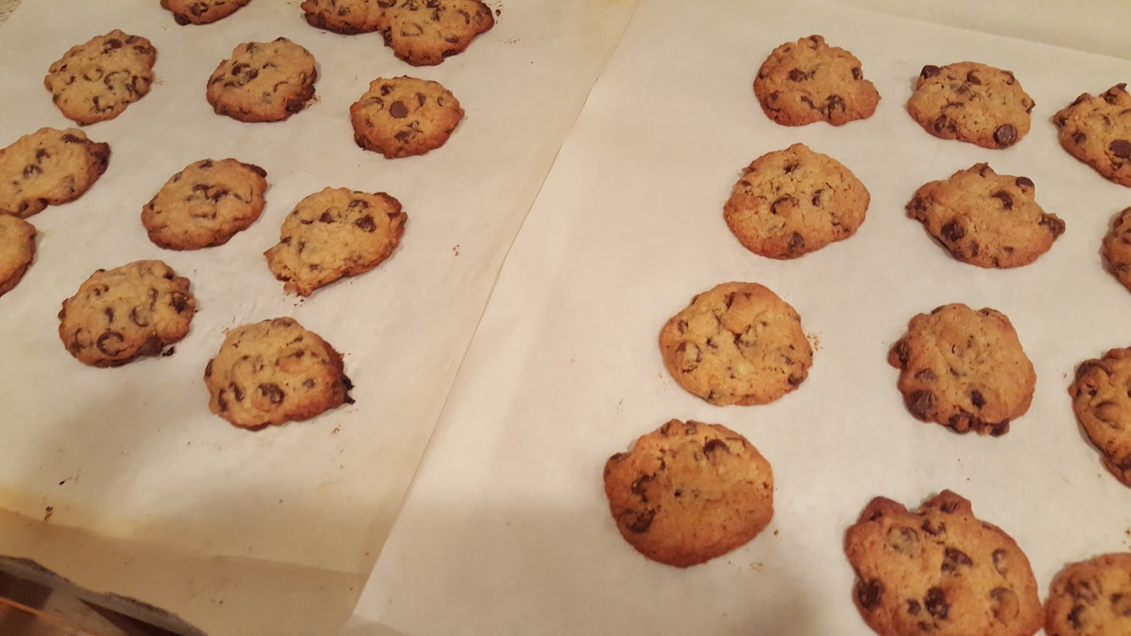 The House of Ladylee Baking Cookies (Parchment Paper Chronicles)