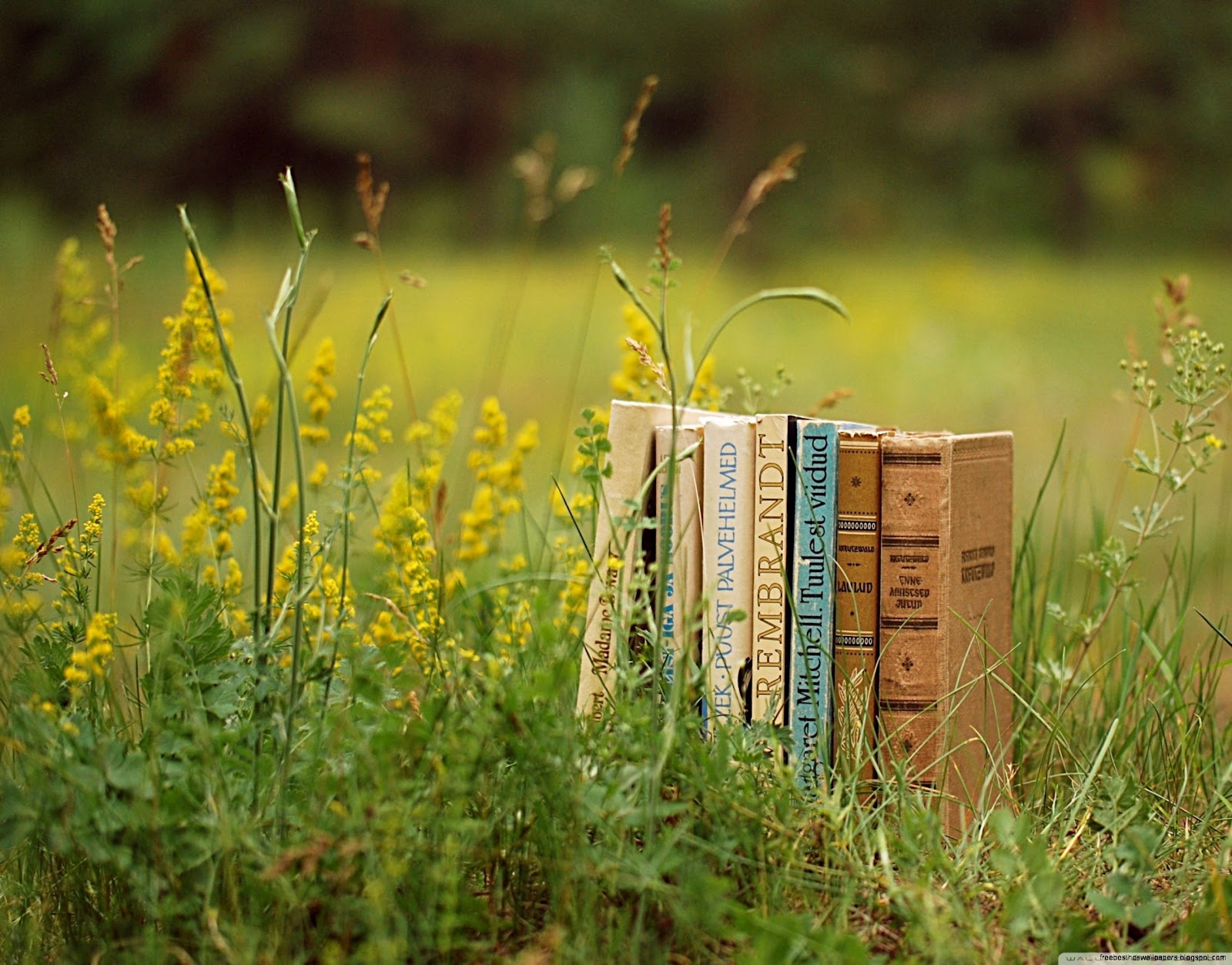 1080P Wallpaper Old Books