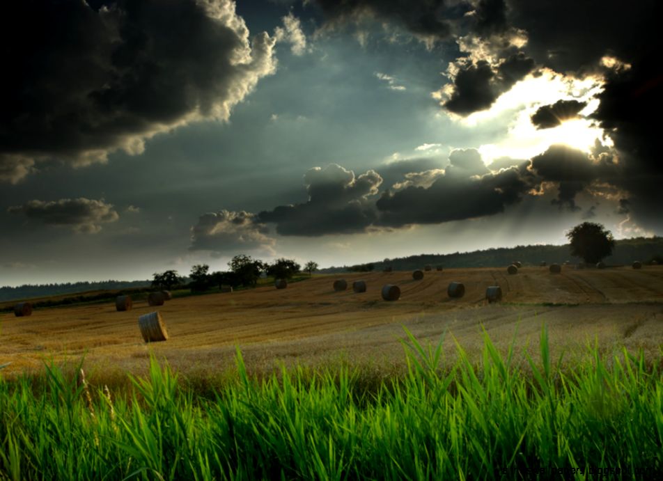 Desktop Nature wallpapers  DaerTube