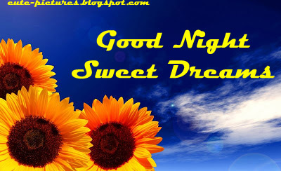 Download Free Good Night Wallpaper For Phone || Good Night Mobile ...