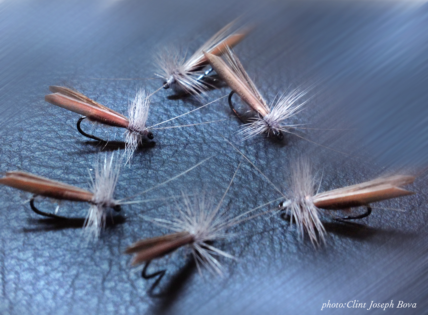 Slow Water Biot Wing Caddis