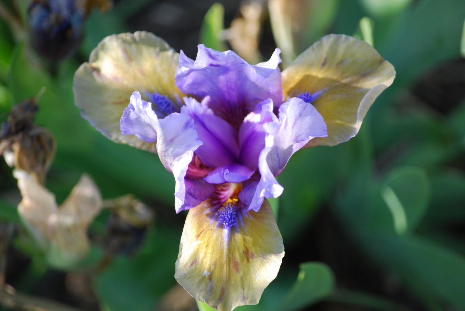 Lake Emily Garden formerly known as Earthworks, St. Peter, Minnesota