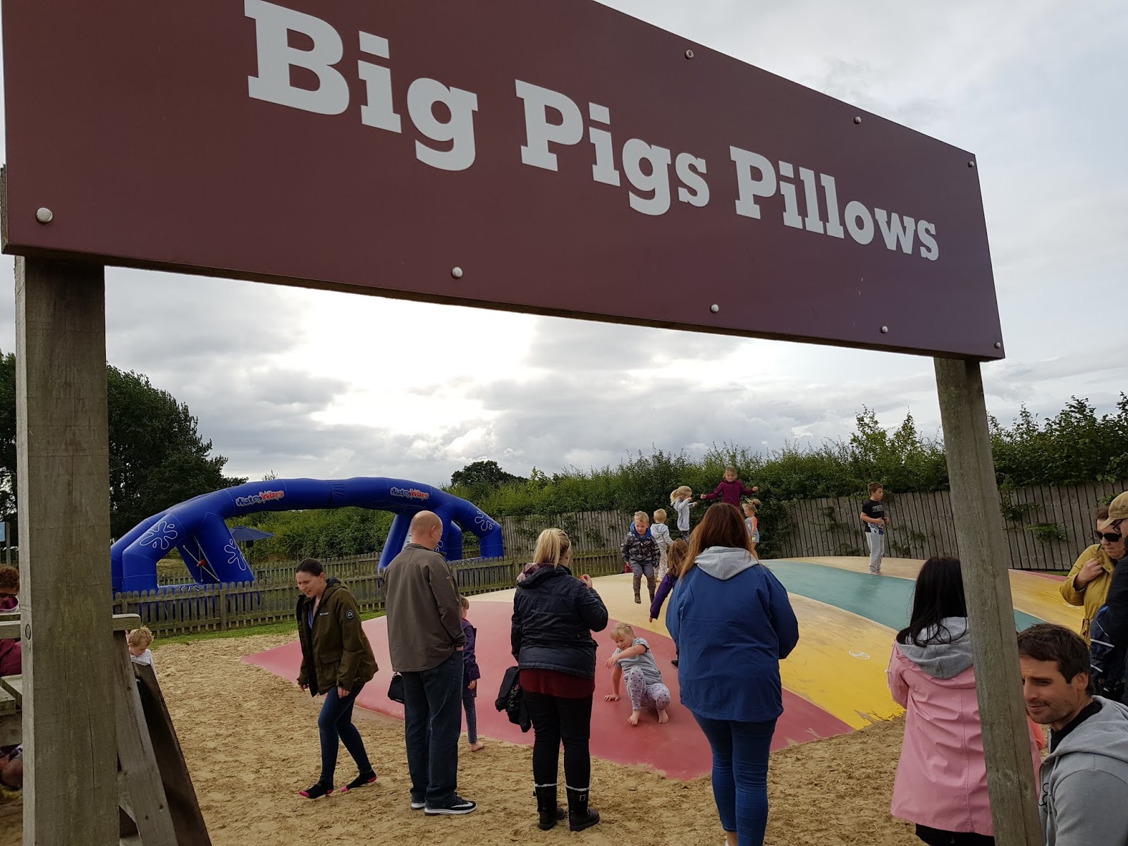 10 Things You Need To Know Before Visiting Piglets Adventure Farm In