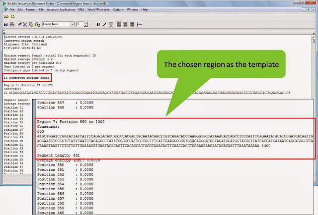 primers in bioedit primers in bioedit