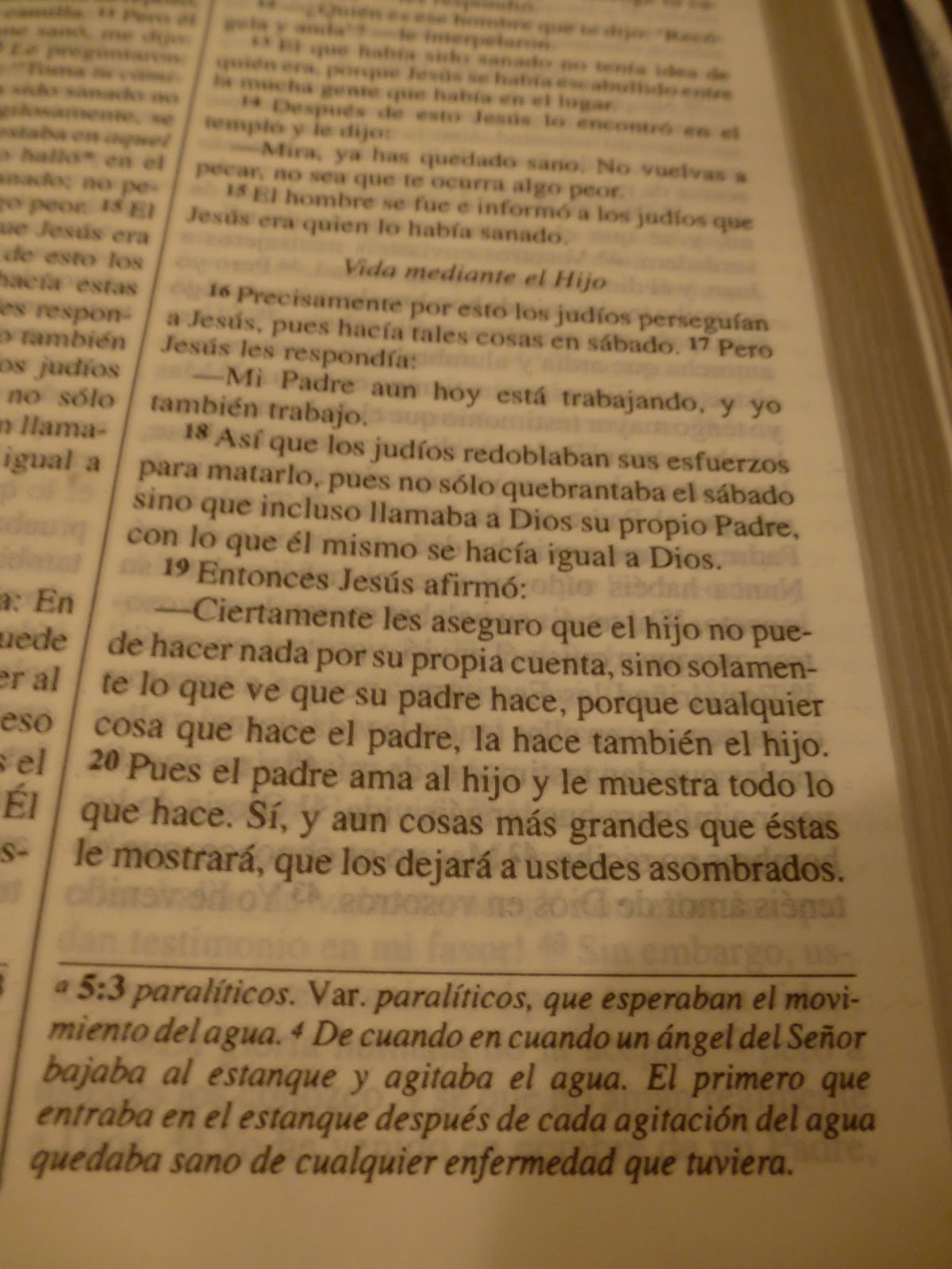 El Bibliotecario de las Versiones de la Biblia al Español