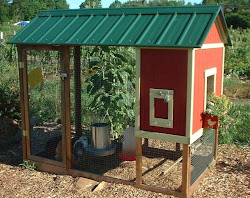 chicken coops coop pen dreamin plans roof awesome