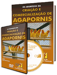 Curso de criação de Agapornis: