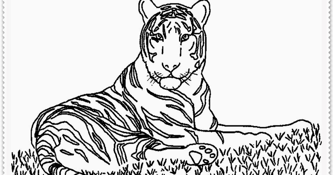 Realistic Tiger Coloring Pages Realistic Coloring Pages