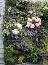 A Garden Wall at Singer Hill Cafe