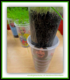 Science and Seeds in Kindergarten via RainbowsWithinReach