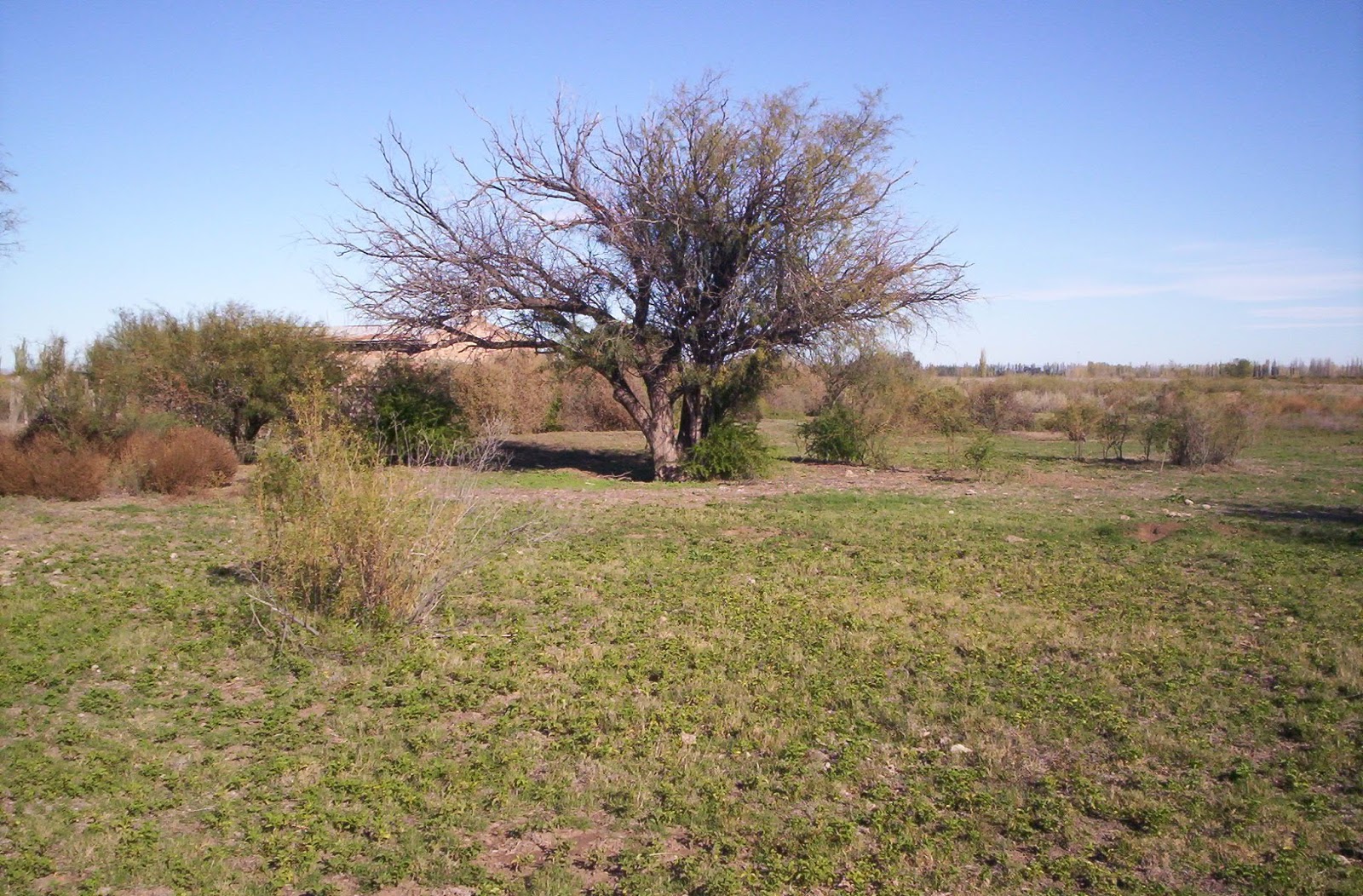 DAVID FARIAS MONTOYA SITIO ARQUEOLOGICO LA OLLA REAL DEL PADRE "LA