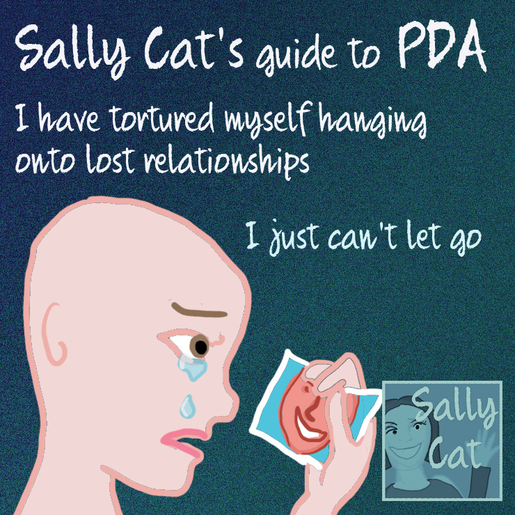 Sally Cat PDA How I understand PDA (in language kids can understand)