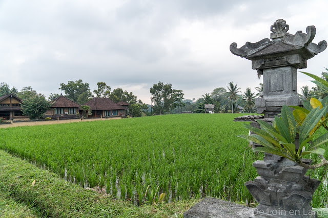 Campuhan - Ubud - Bali