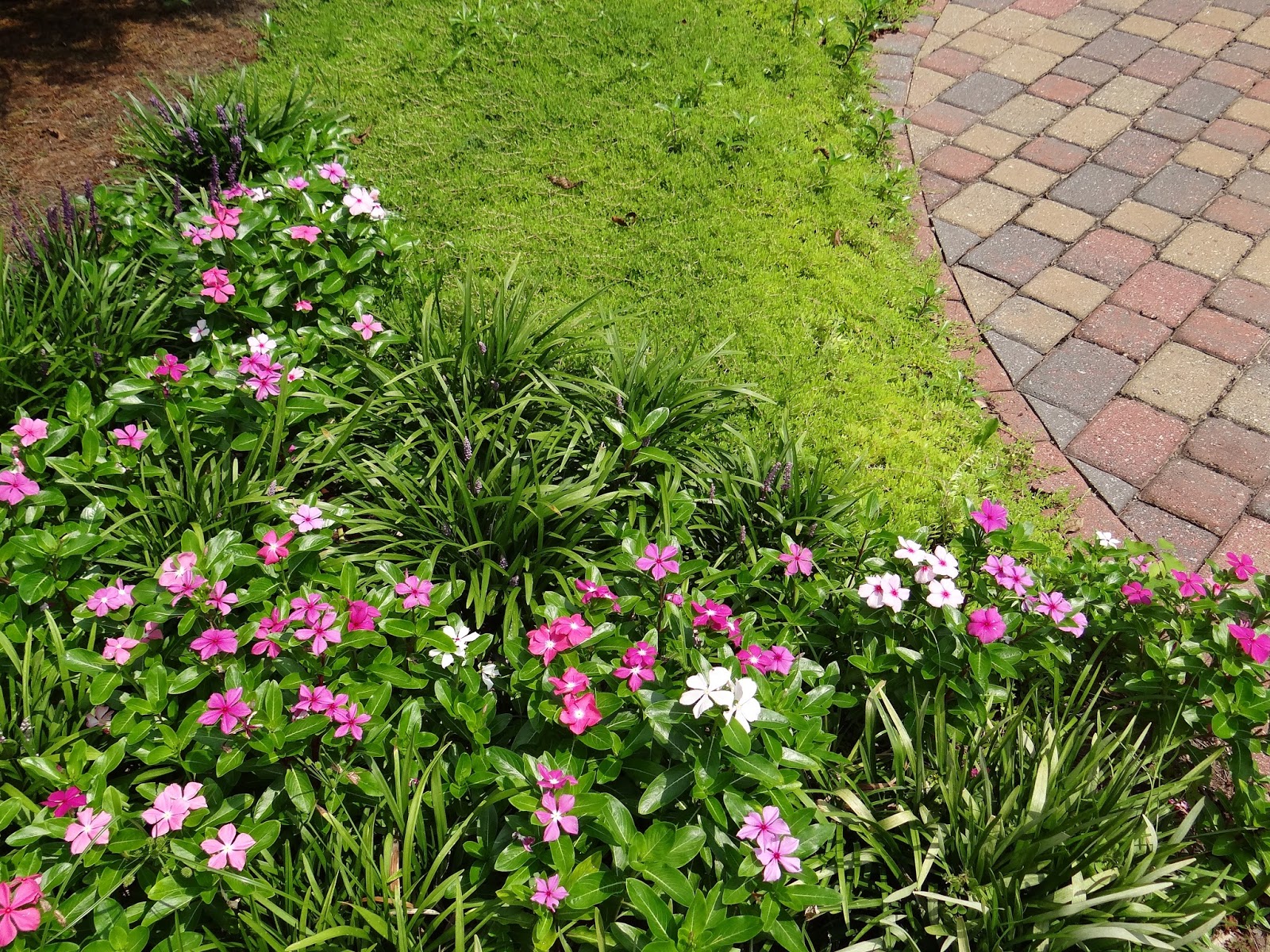 Lenora's Legacy Estate Lenora's Legacy in Full Bloom