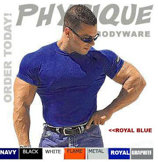 Physique Bodyware : Viper Men's Muscle Shirt. New Colors! Body ...