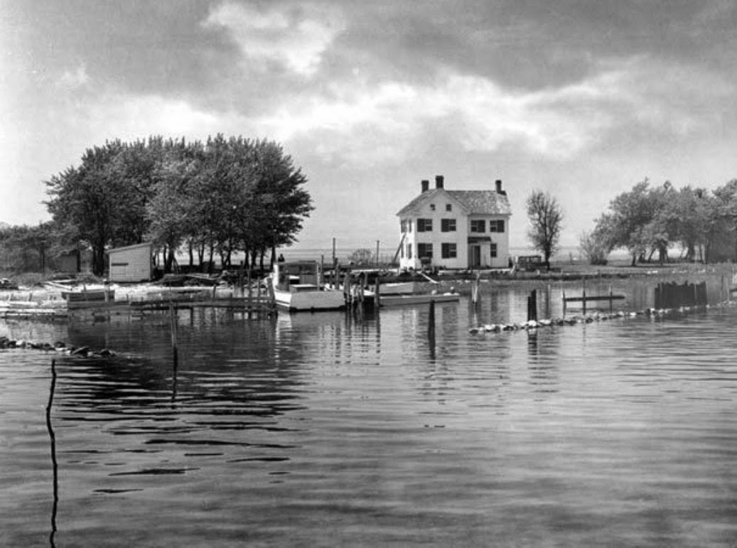 Deserted Places Holland Island in the Chesapeake Bay