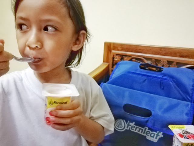 Yogurt Fernleaf Alternatif Sarapan Sihat untuk Pagi yang Sibuk Yogurt Fernleaf Alternatif Sarapan Sihat untuk Pagi yang Sibuk