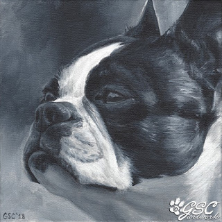boston terrier animal dog pet portrait acrylics fine art acrylic painting hand-painted